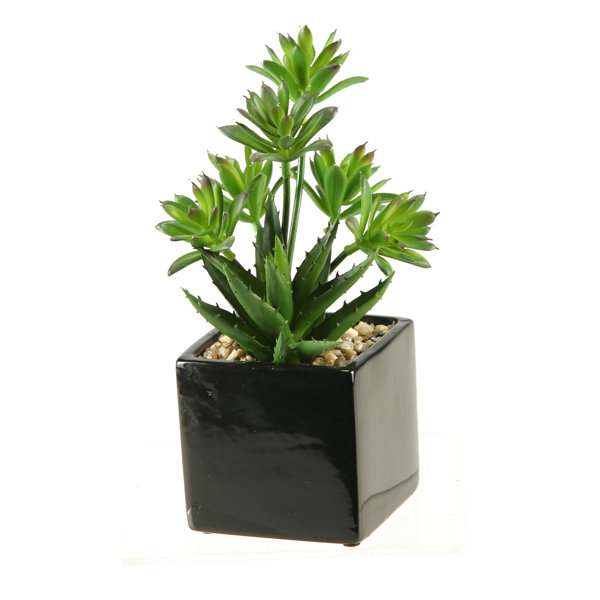 D & W Silks 11'' Faux Dracaena Plant in Ceramic Planter Wayfair